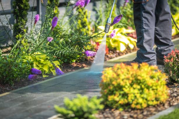 Best Dumpster Area Cleaning  in North Babylon, NY